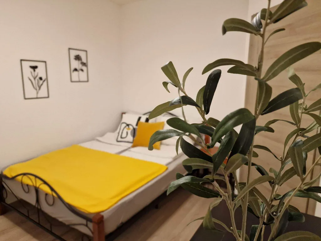 1. Földszinti szoba francia ágy