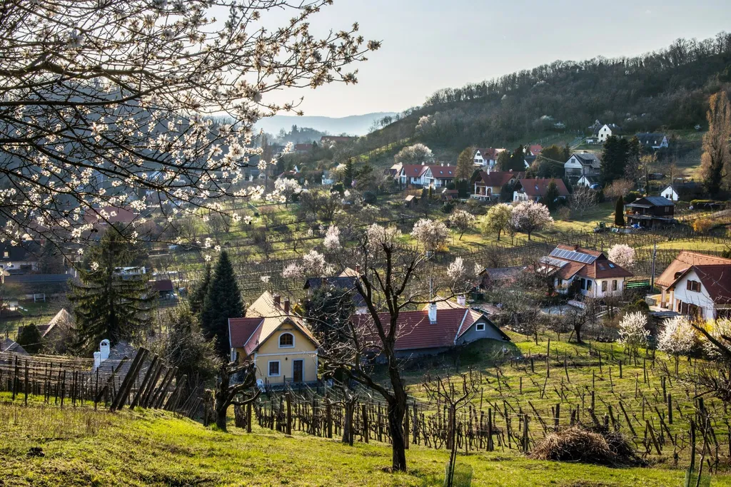 A vendégház a kápolnától fotózva
